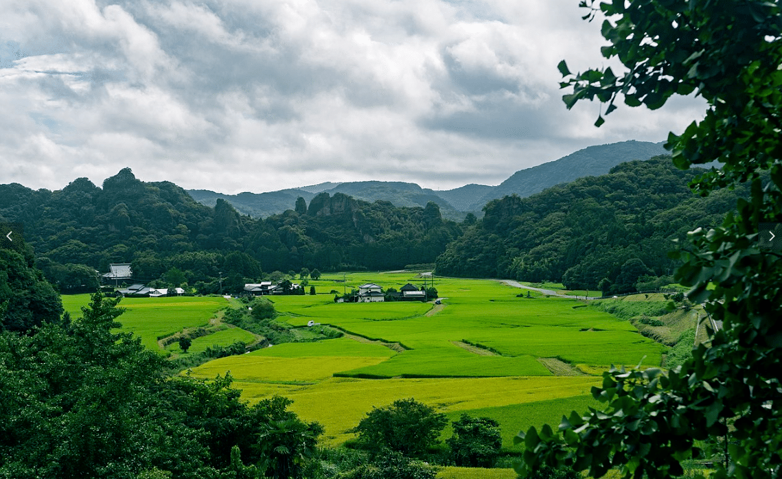 地域文化
