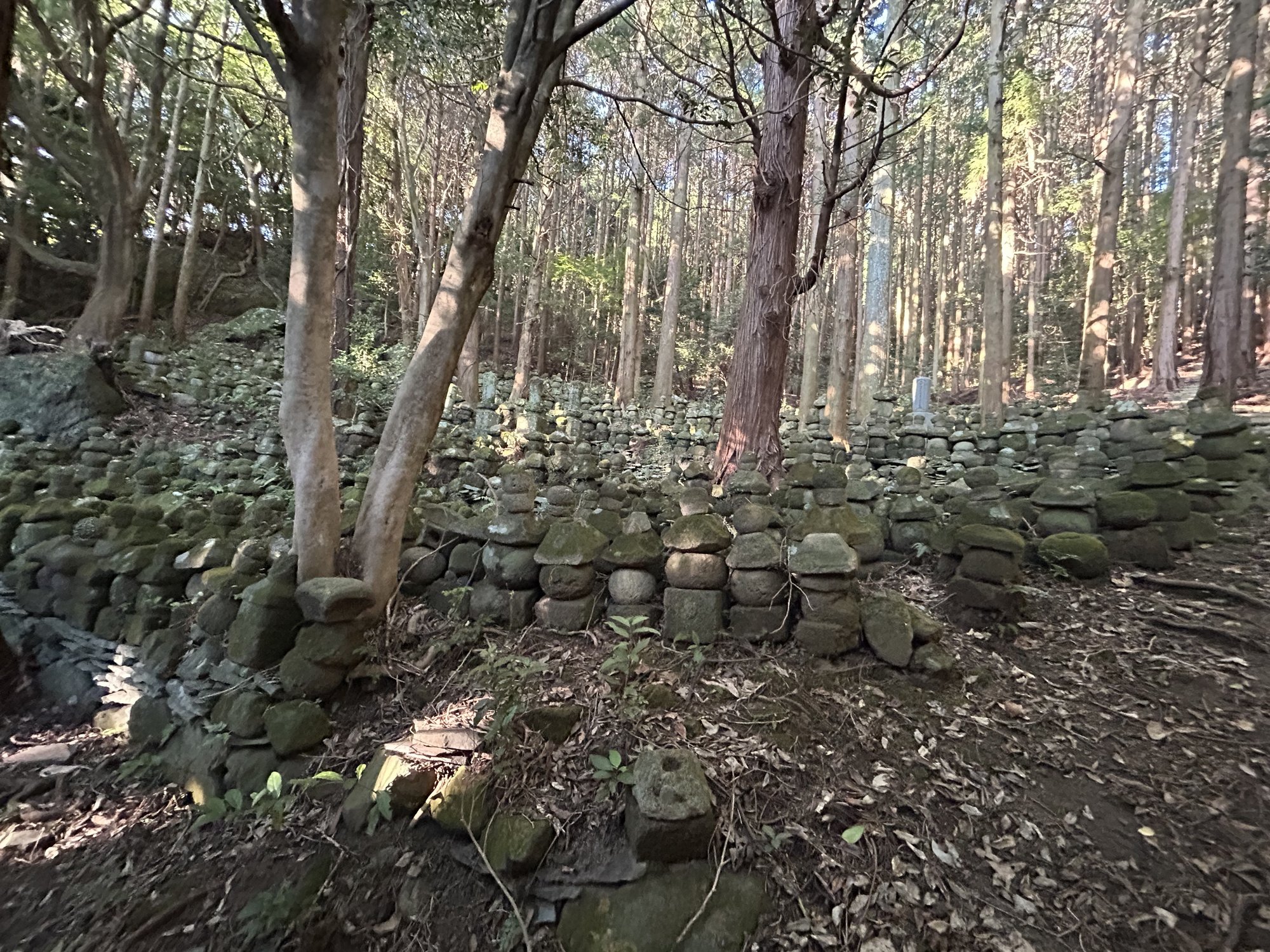 地域文化