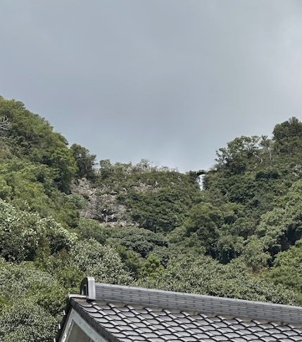 地域文化