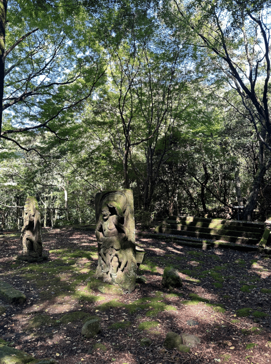 地域文化